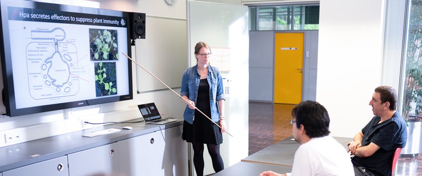 Three researchers stand in front of a blackboard and discuss their results.