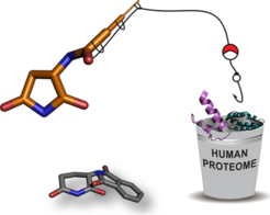 Model of amidosuccinimide, stylised as a fishing rod, fishing for parts of the human proteome in a bucket.