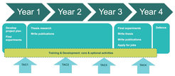 Overview of the PhD Programs
