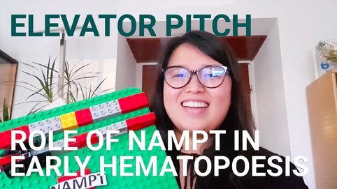 Autumn is a TIPP PhD student with Patrick Müller at the Friedrich Miescher Laboratory. She started her PhD in August 2015 and currently writes up her thesis.