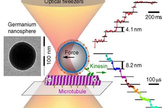High resolution tracking of kinesin motors using germanium nanospheres 