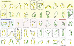 A collection of ancient peptides, reconstructed by sequence and structure comparisons of modern proteins.